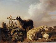 unknow artist Sheep 150 Spain oil painting artist